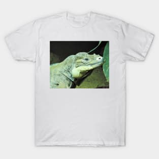 Rhinoceros Iguana T-Shirt